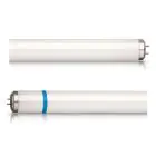 Philips TL-D Secura 18W - Schwarzlight | 60cm